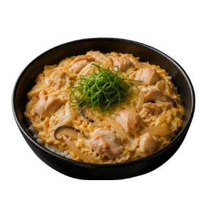 Katsudon